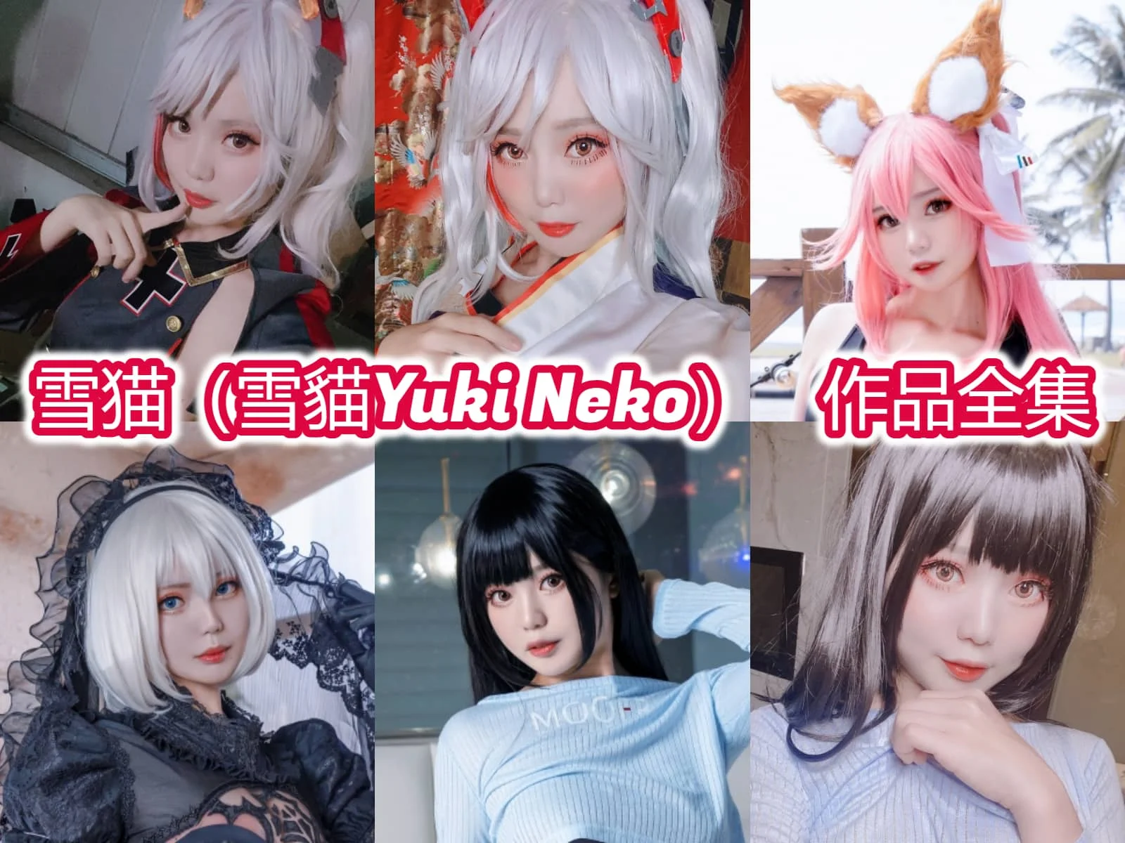 雪猫（雪貓Yuki Neko）